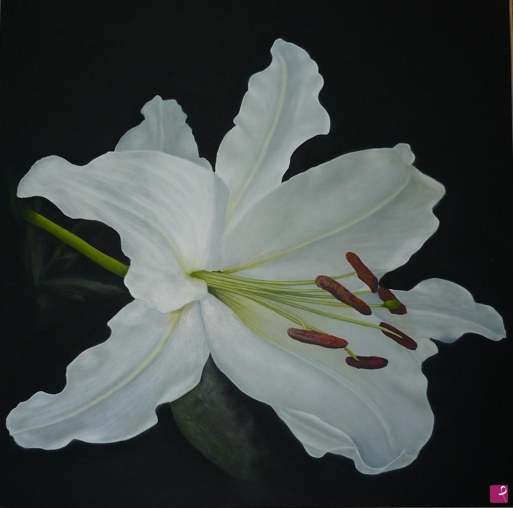 quadri in vendita online - Lilium
