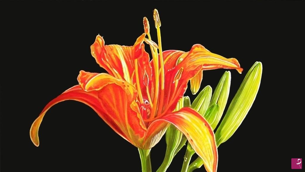 quadri in vendita online - "Lily"