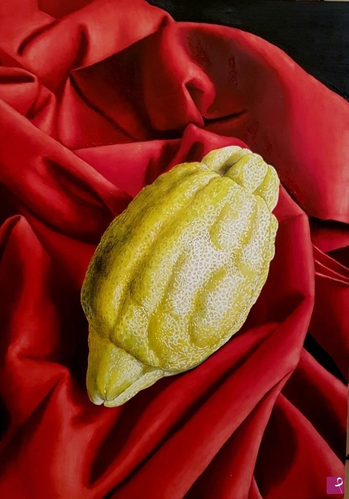 quadri in vendita online - Limone di amalfi su drappo rosso