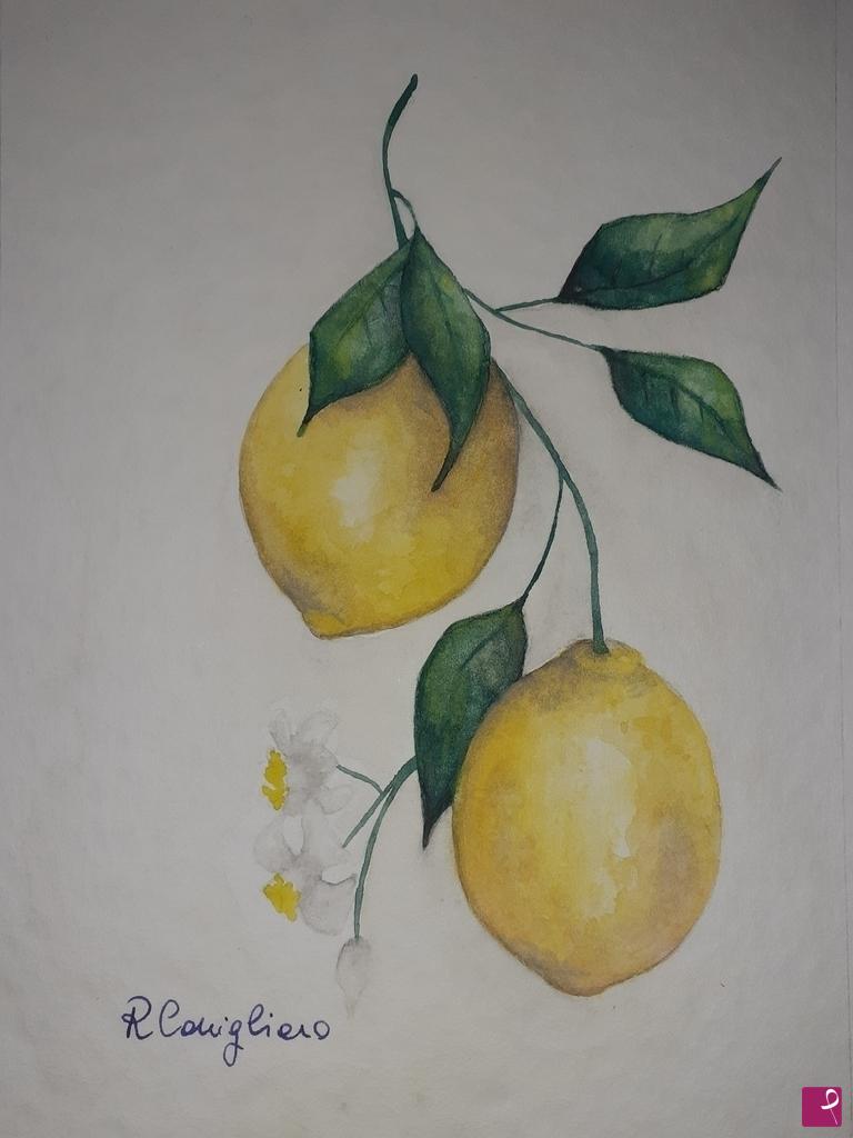 quadri in vendita online - Limoni