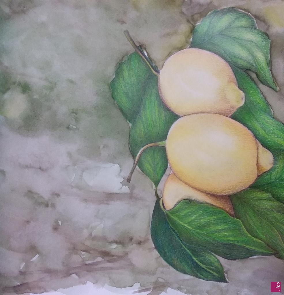 quadri in vendita online - Limoni di Sicilia 