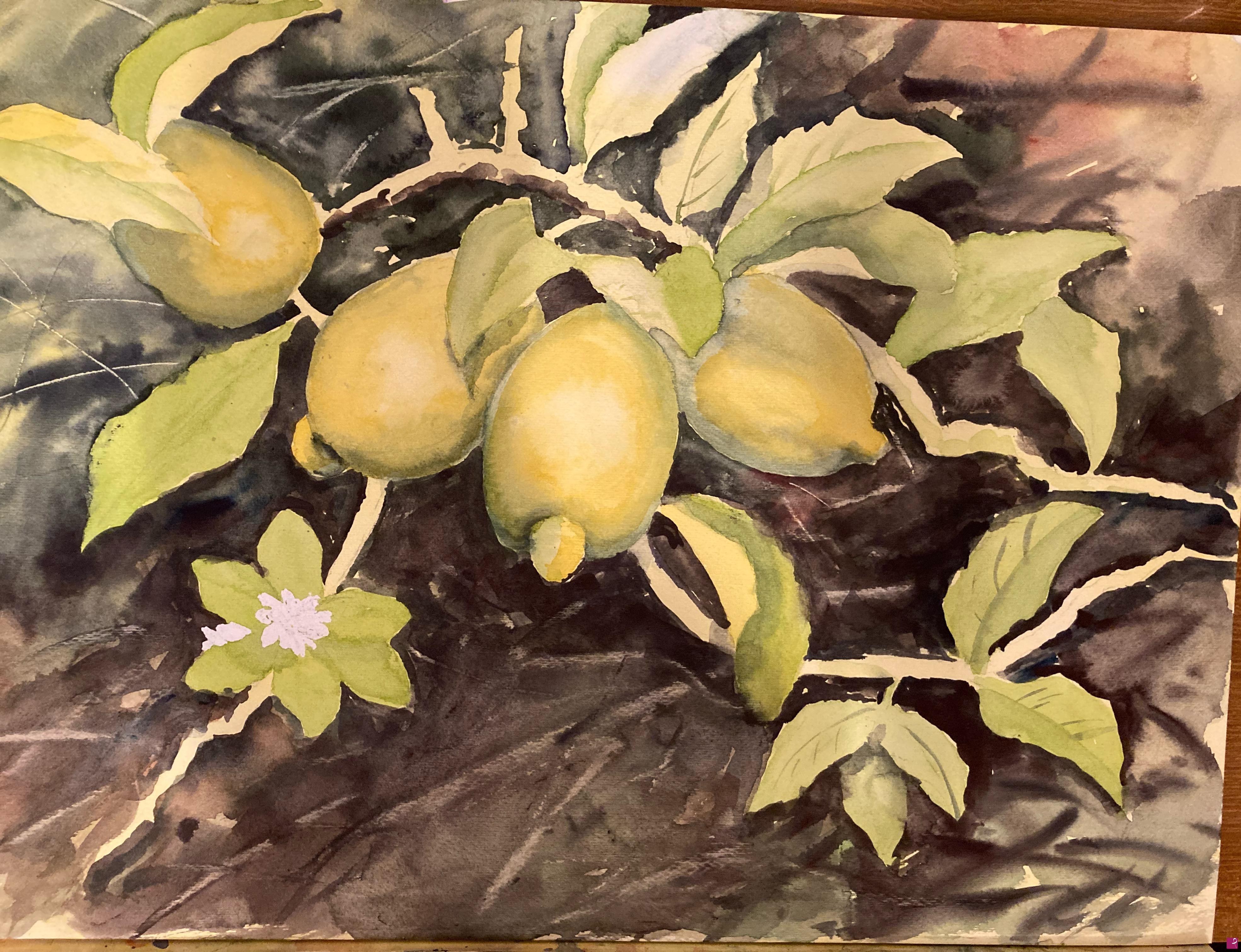 quadri in vendita online - Limoni di Sorrento