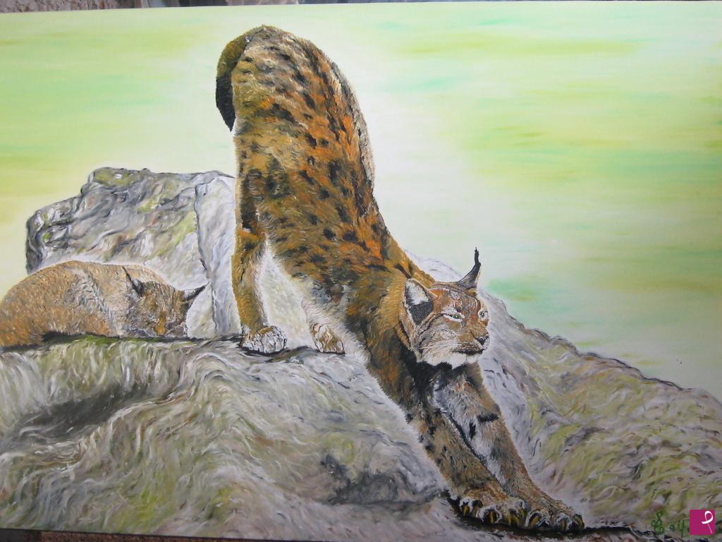 quadri in vendita online - lince