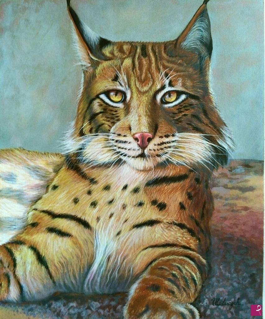 quadri in vendita online - Lince