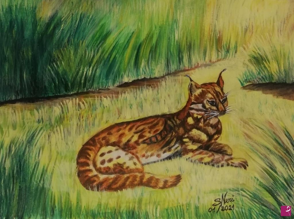 quadri in vendita online - Lince