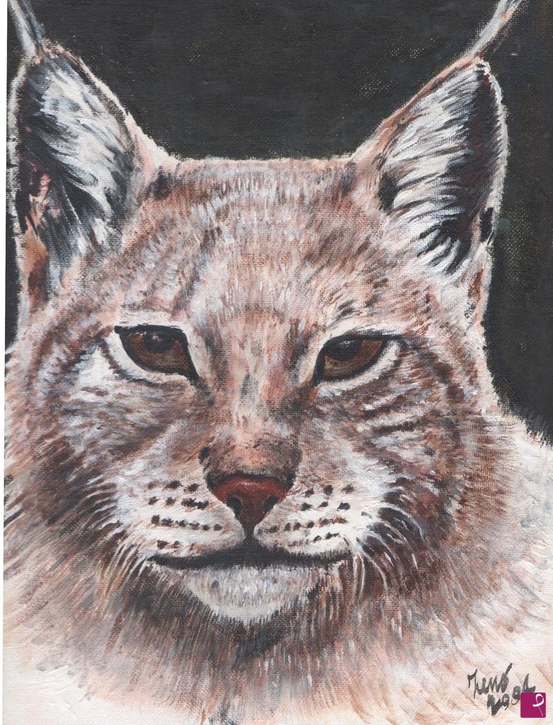 quadri in vendita online - Lince