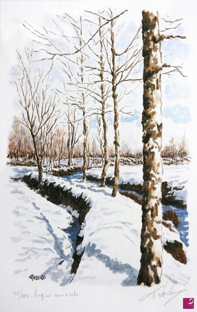 quadri in vendita online - Litografia N. 48 - Argine innevato