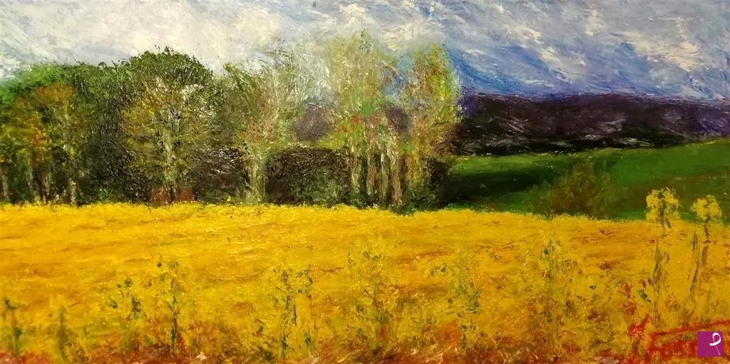 quadri in vendita online - L'ombra e il giallo dell'orzo