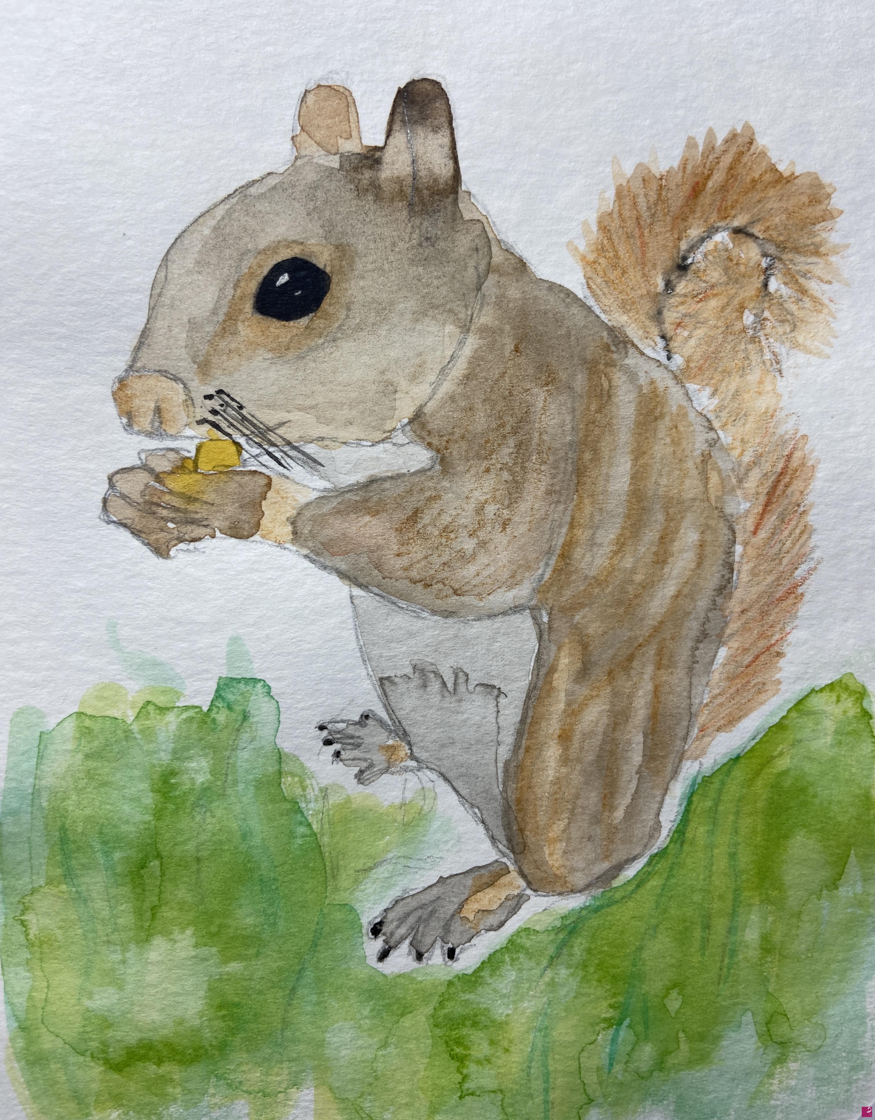 quadri in vendita online - London Squirrel