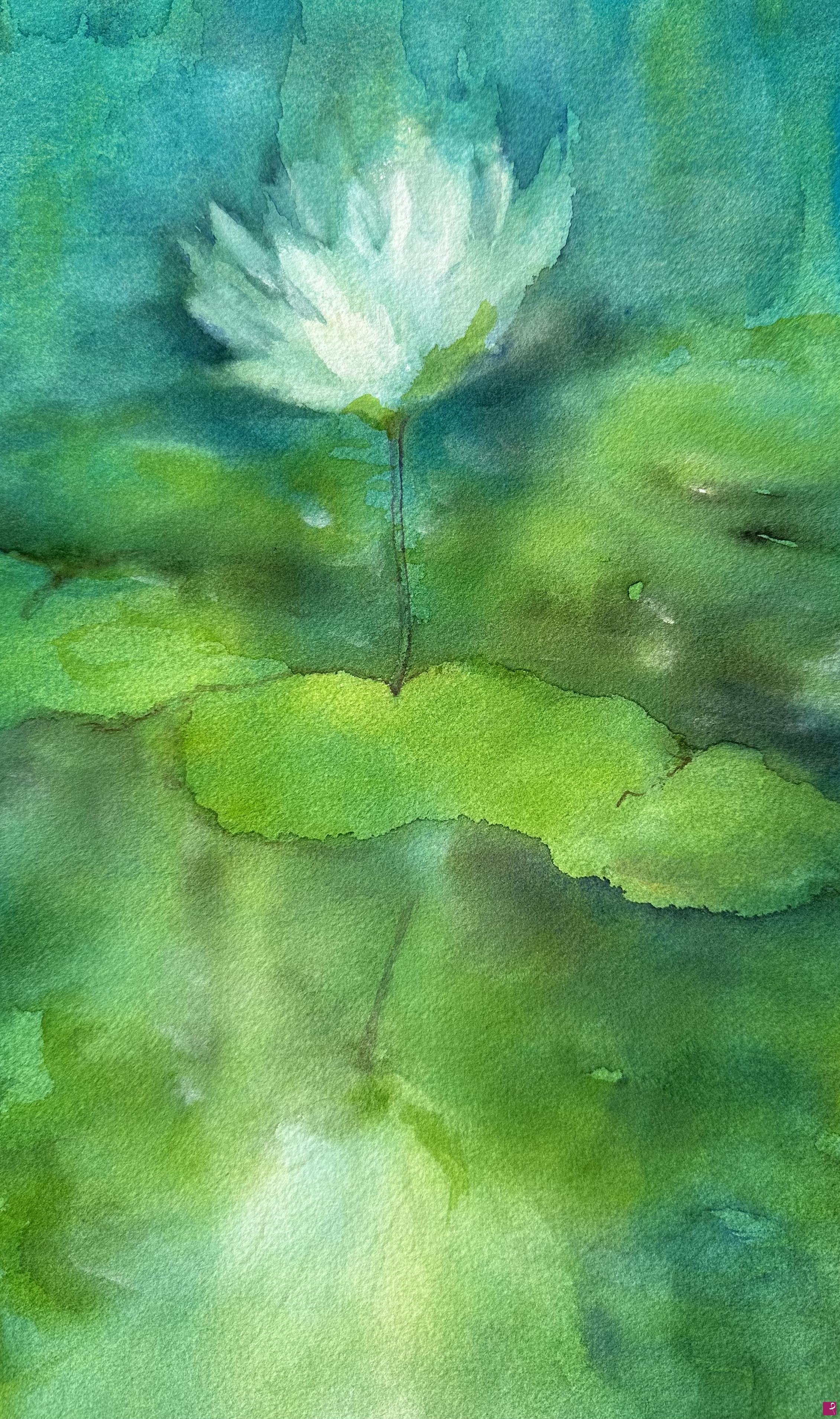 quadri in vendita online - Lotus flower  