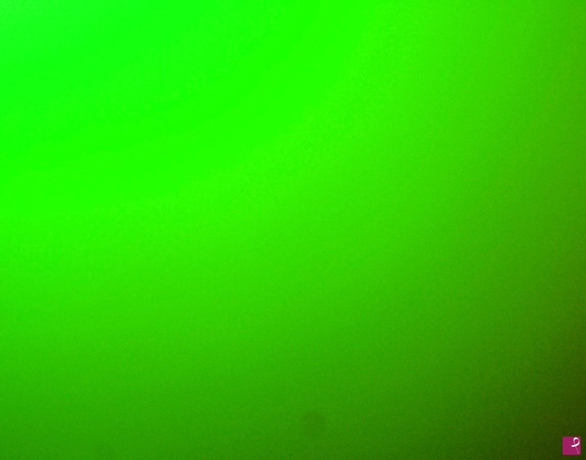 quadri in vendita online - Luce colore