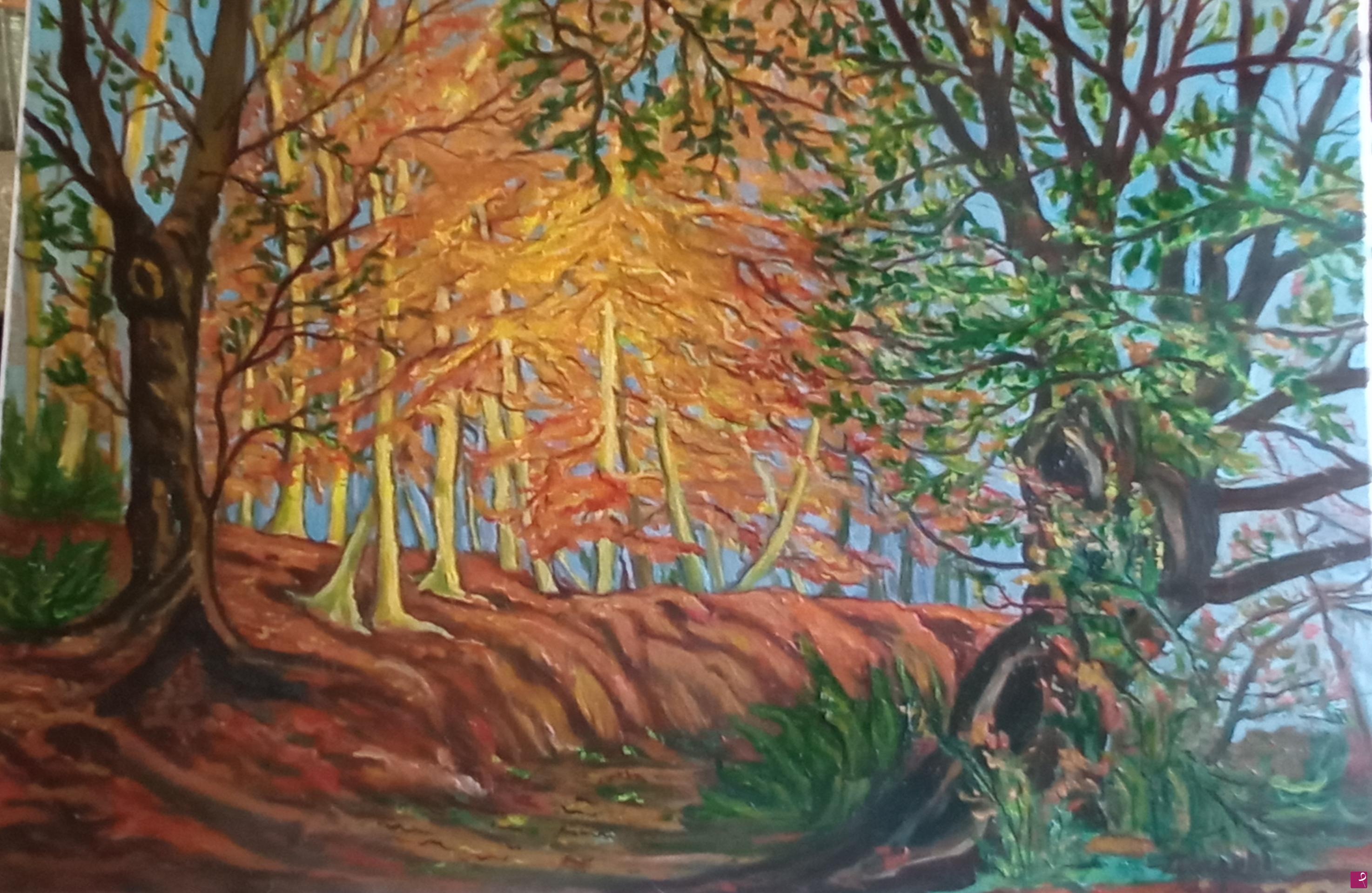 quadri in vendita online - Luce nel bosco