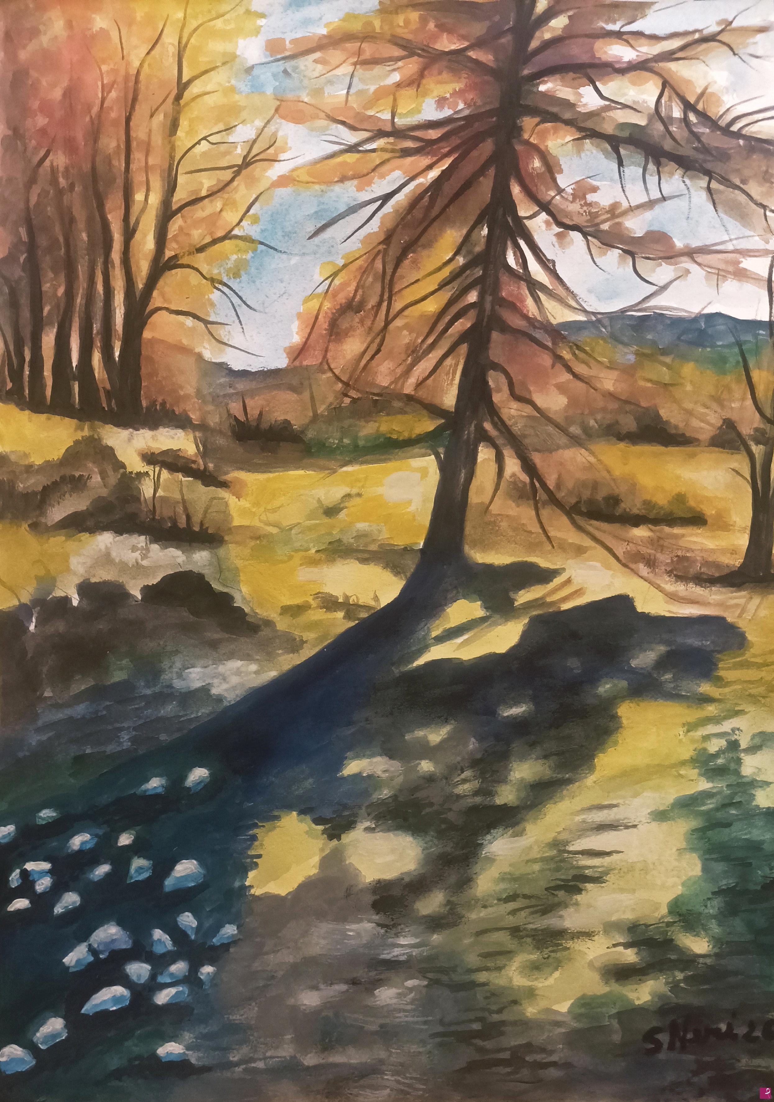 quadri in vendita online - Luci e ombre nel bosco