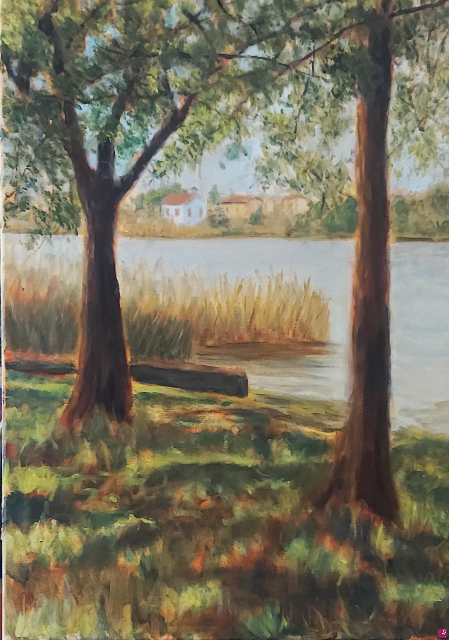 quadri in vendita online - Luci ed ombre sul Lago di Pusiano (vista da Bosisio Parini) - rif.LG-218-CL/OT50x70-V/2026