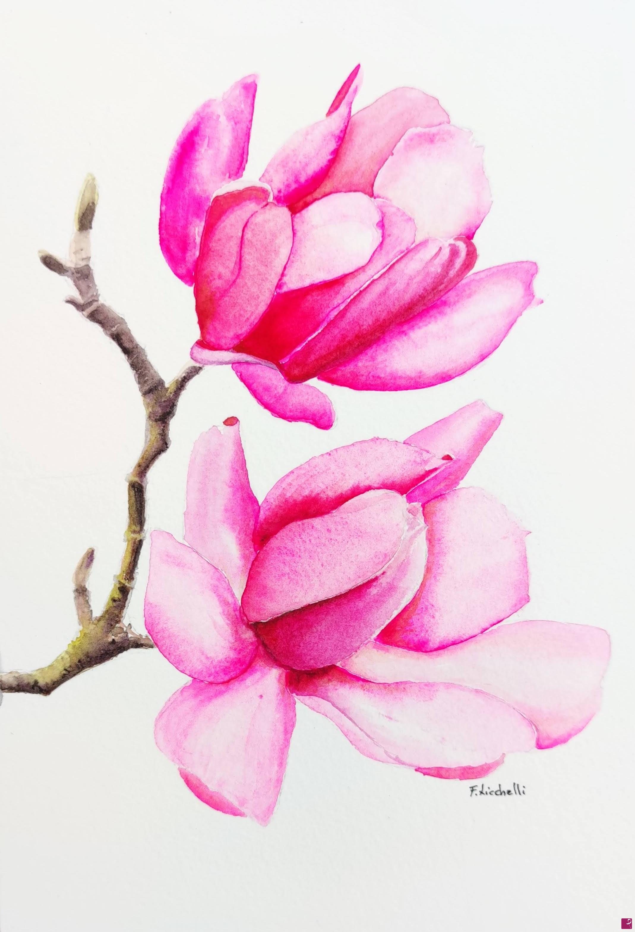 quadri in vendita online - Magnolia