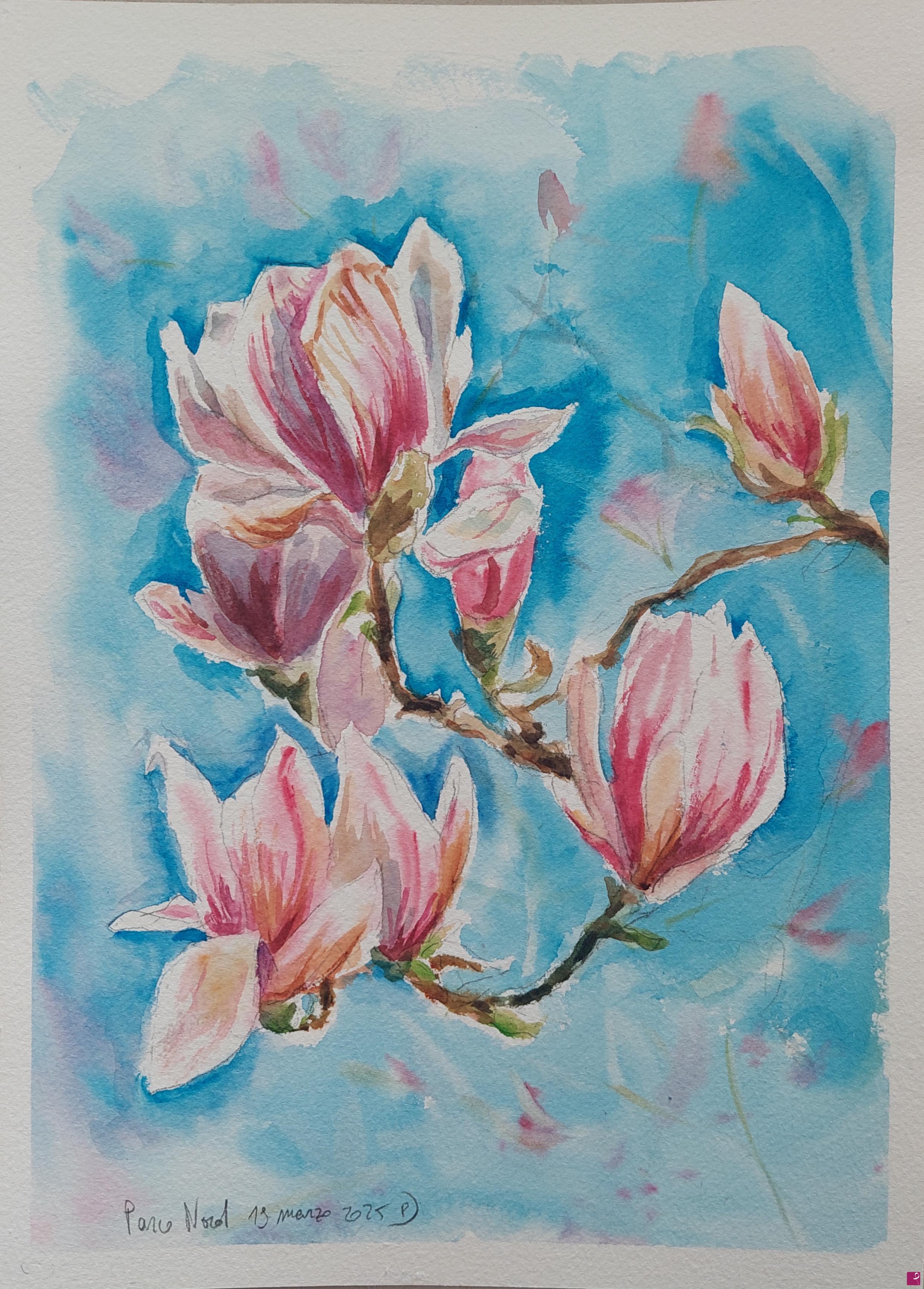 quadri in vendita online - Magnolia in fiore