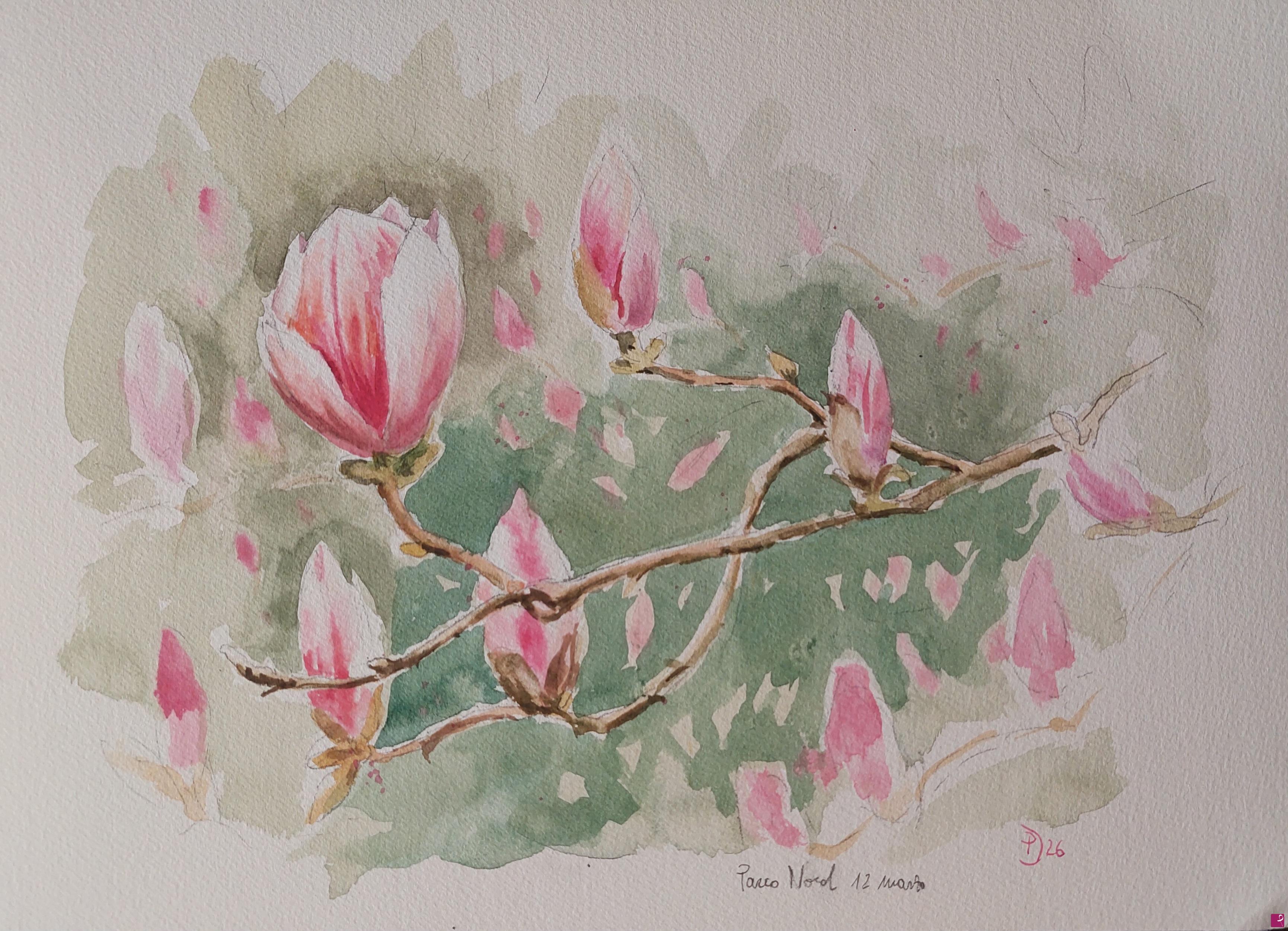 quadri in vendita online - Magnolia in fiore al Parco Nord, marzo 2026