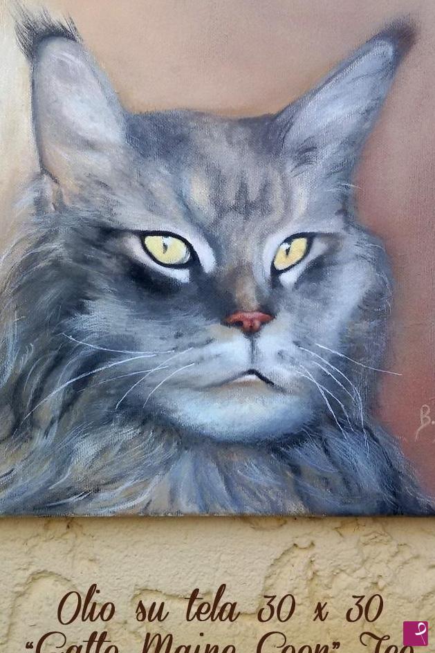 quadri in vendita online - maine coon
