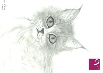 Quadro venduto su PitturiAmo