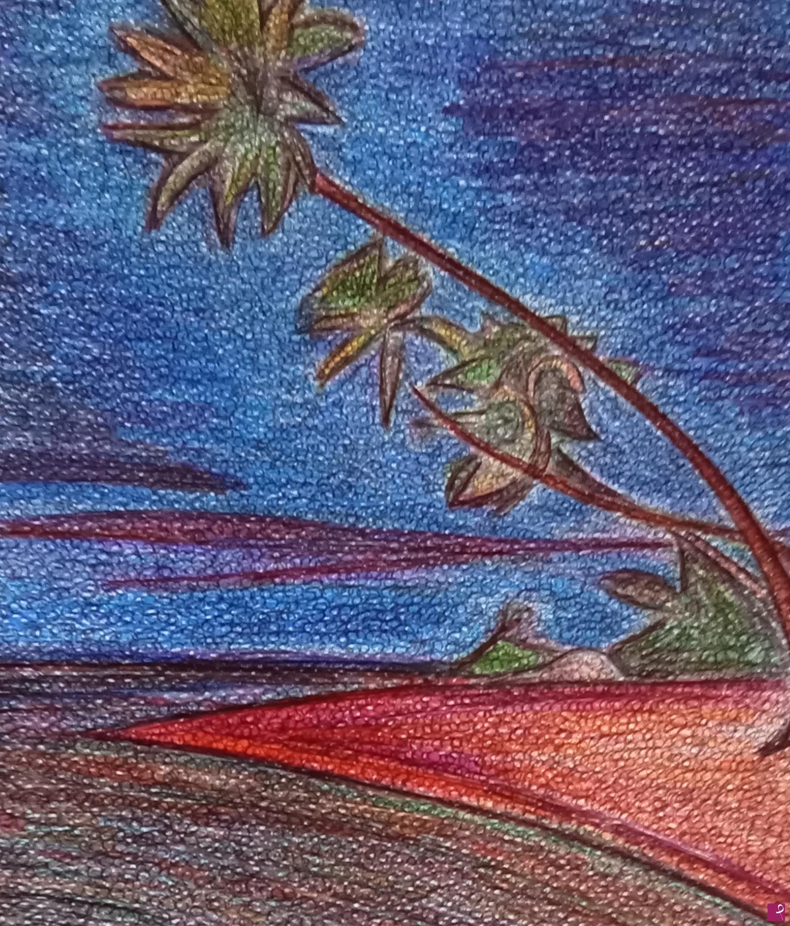 quadri in vendita online - "Maldives.Sunset in color"