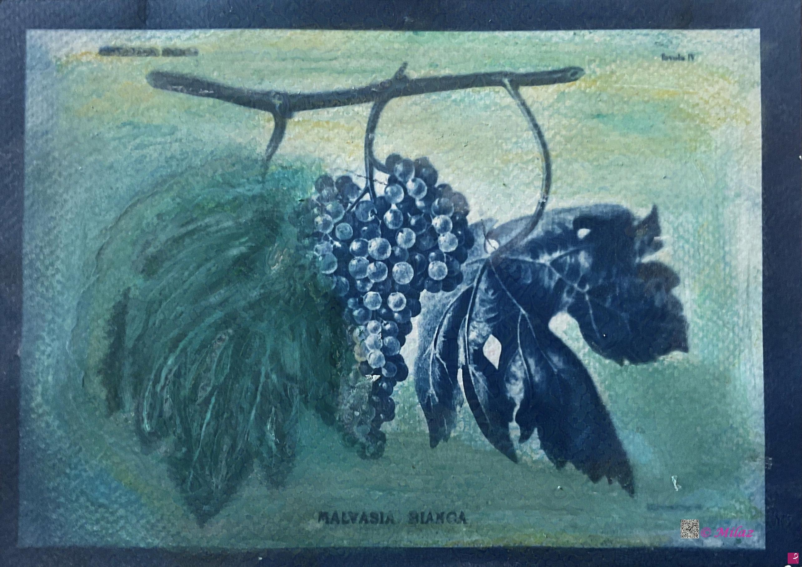 quadri in vendita online - Malvasia 