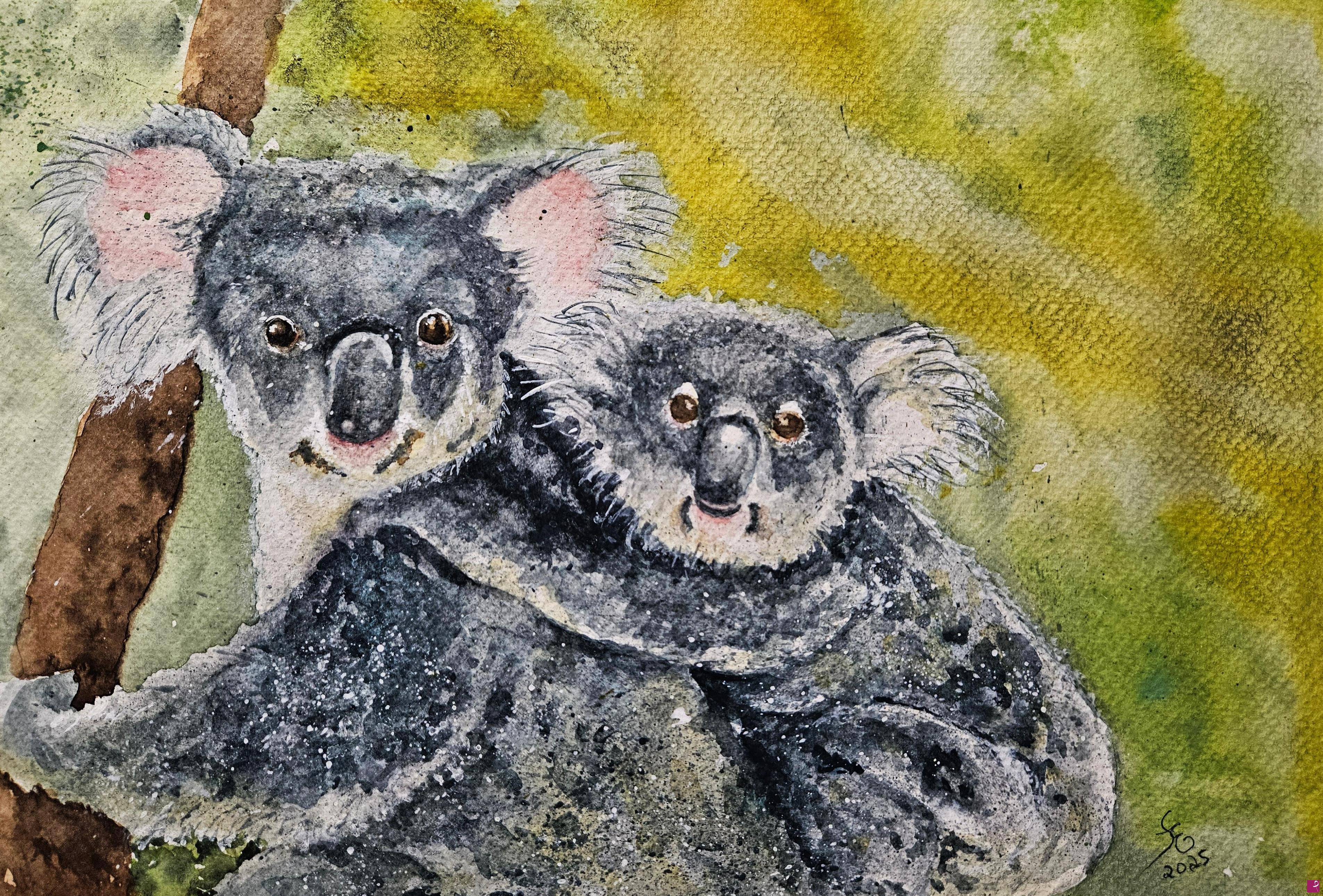 quadri in vendita online - Mamma Koala