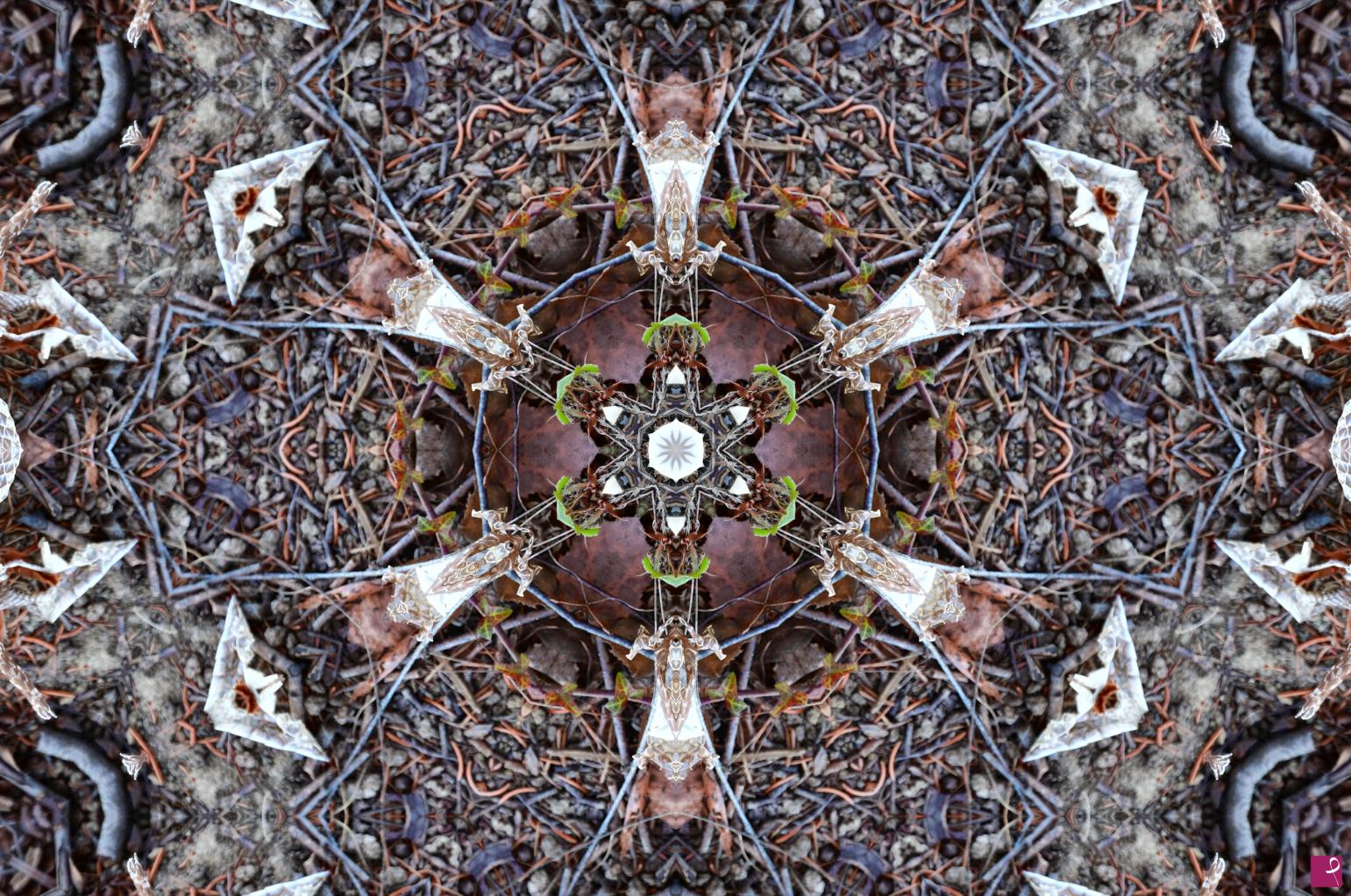 quadri in vendita online - Mandala
