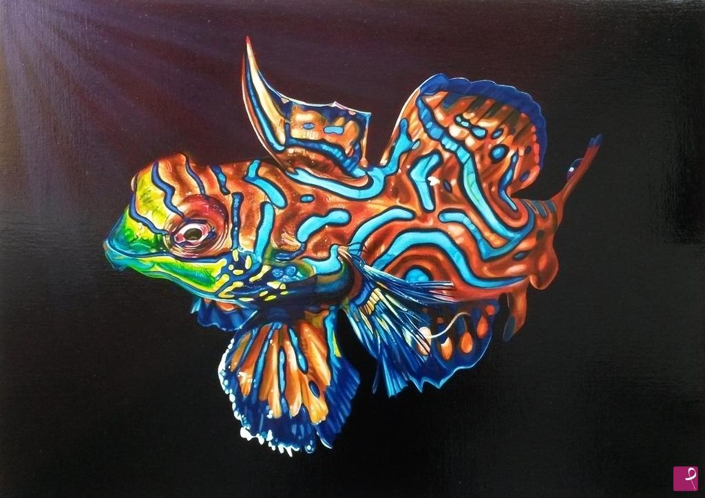 quadri in vendita online - "MANDARIN FISH"
