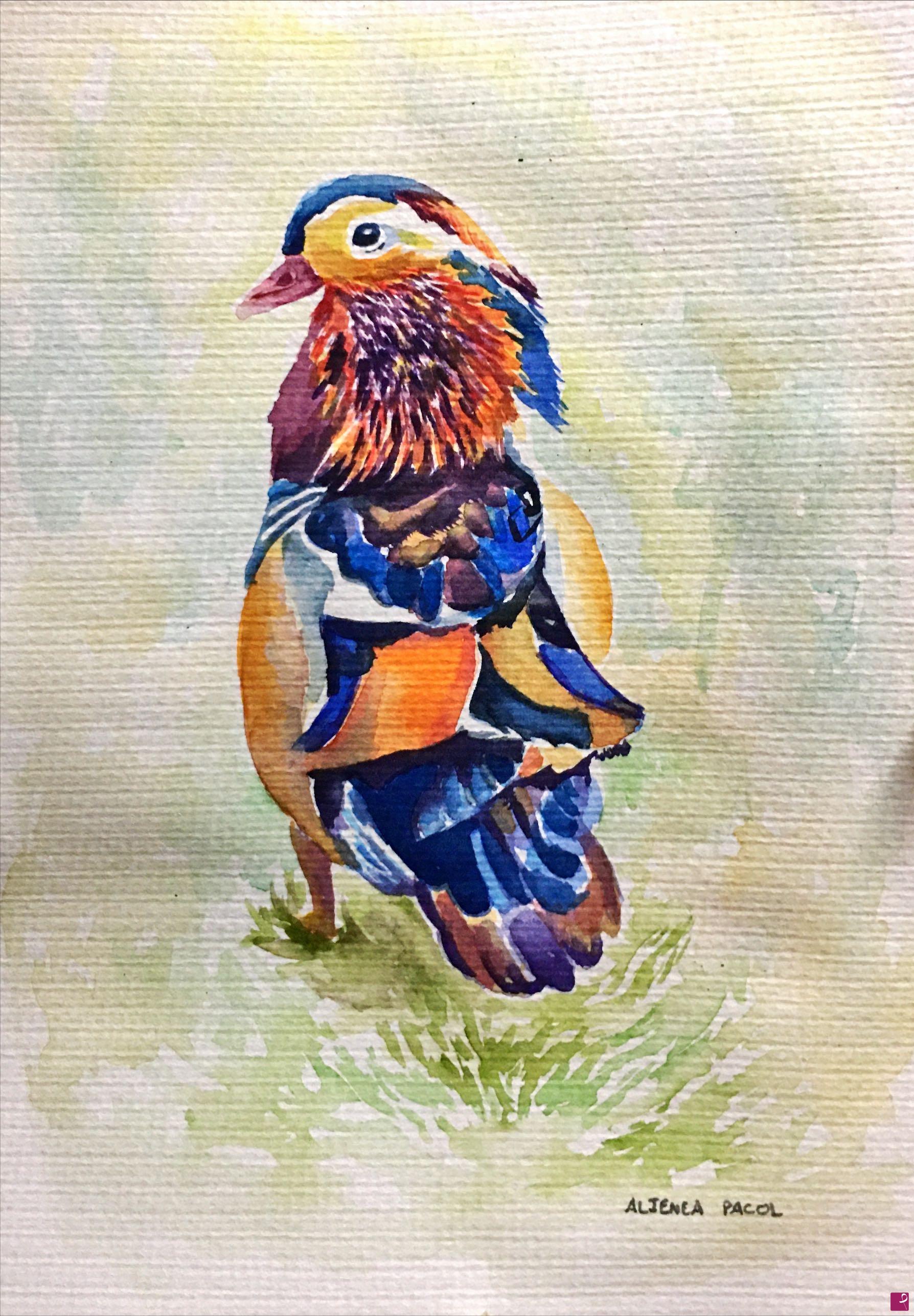 quadri in vendita online - Mandarine duck