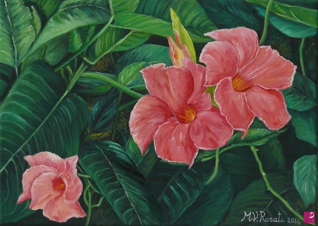 quadri in vendita online - MANDEVILLA APHRODITE 