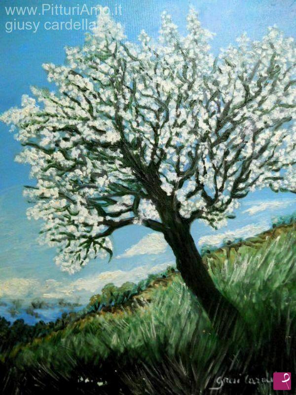quadri in vendita online - mandorlo in fiore