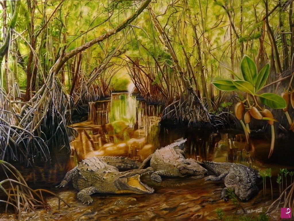 quadri in vendita online - mangroves in Everglades 