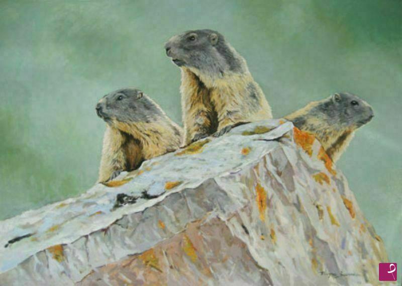 quadri in vendita online - marmotte