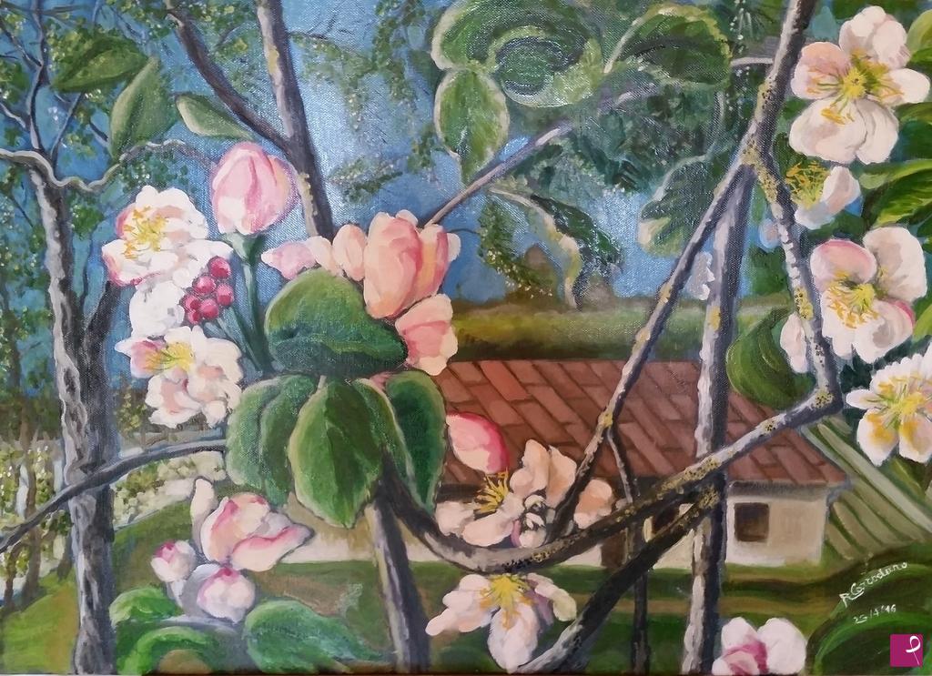 quadri in vendita online - " Meli in fiore in cascina Castagna"