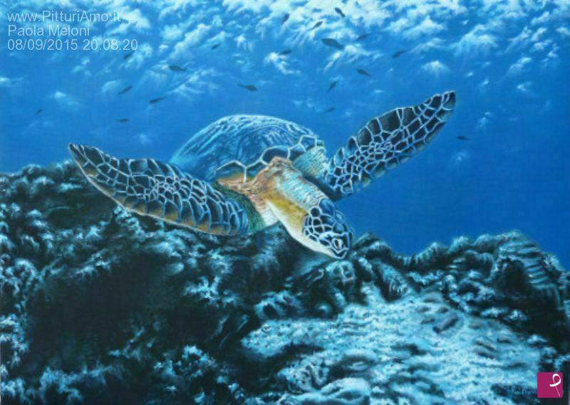 quadri in vendita online - Meraviglie e misteri del mare...