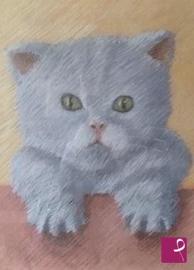 quadri in vendita online - miciogatto