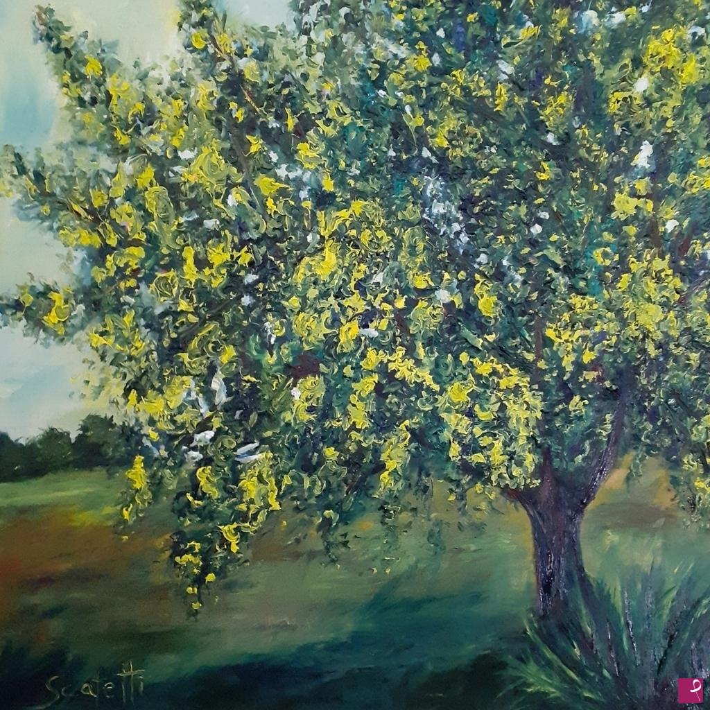 quadri in vendita online - Mimosa
