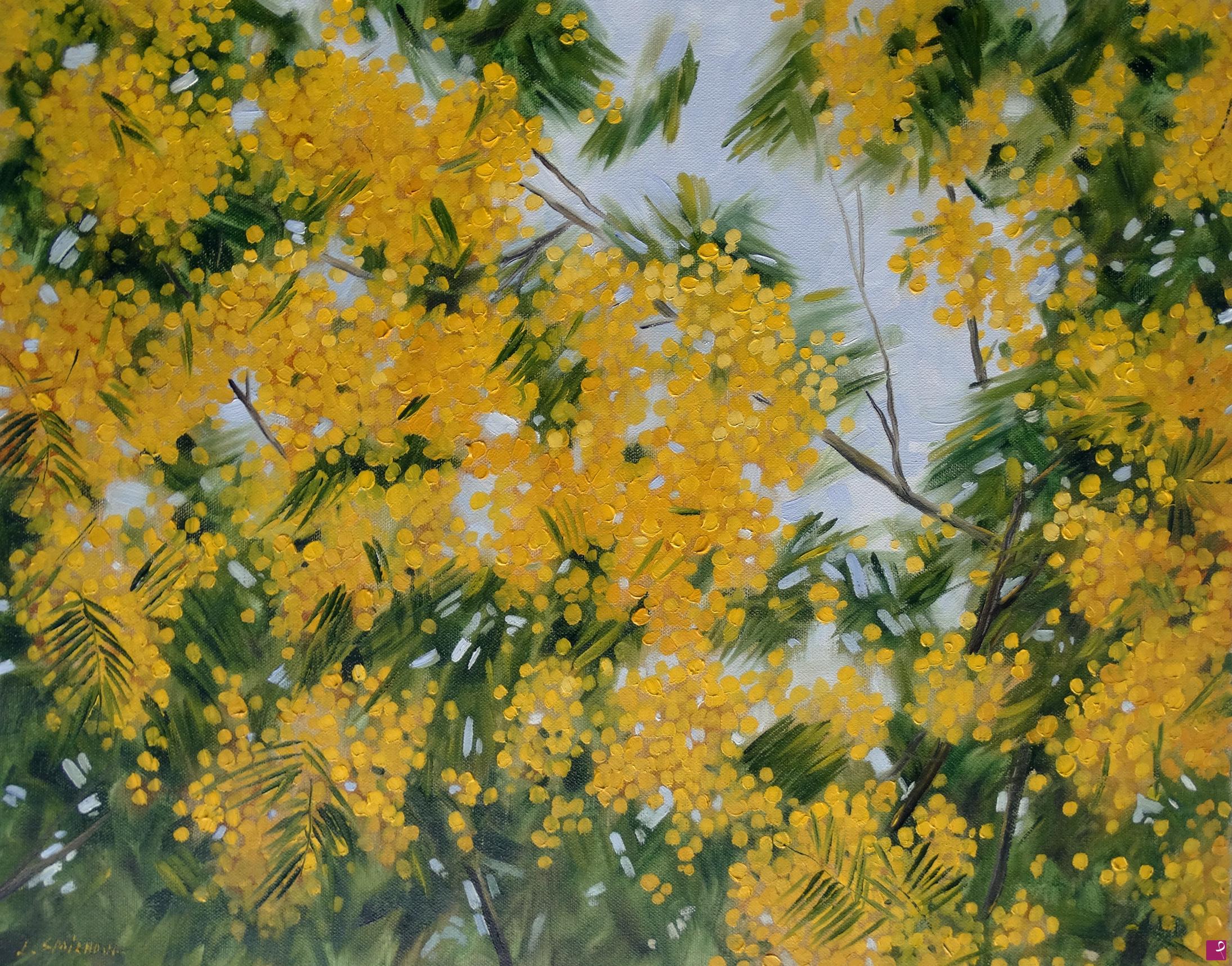 quadri in vendita online - Mimosa