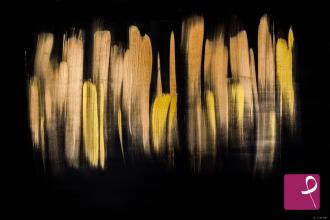Quadro venduto su PitturiAmo