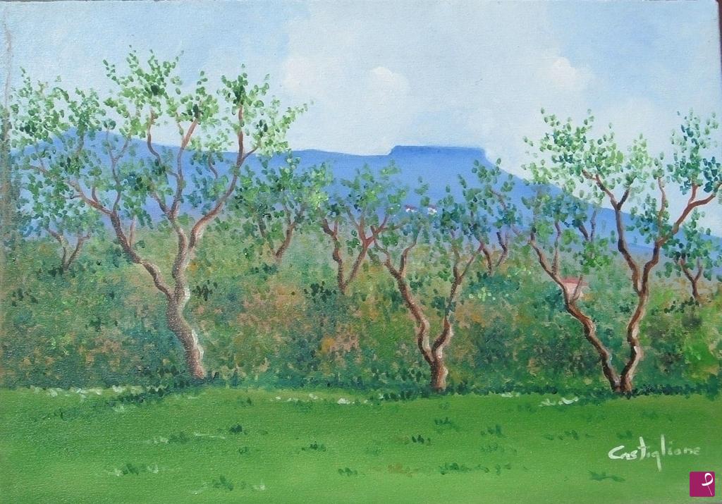 quadri in vendita online - monte sabbucina