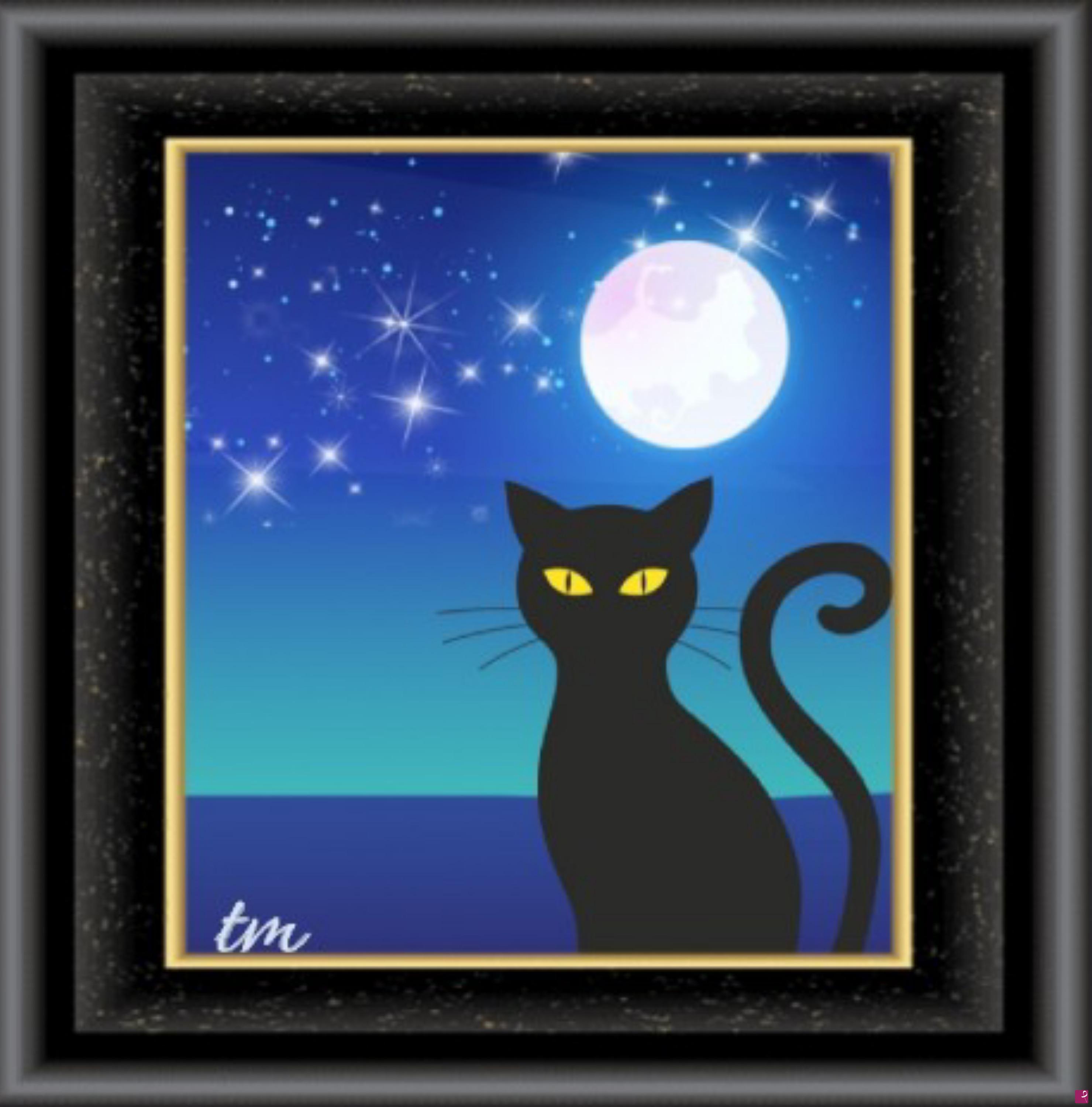 quadri in vendita online - MOON CAT 