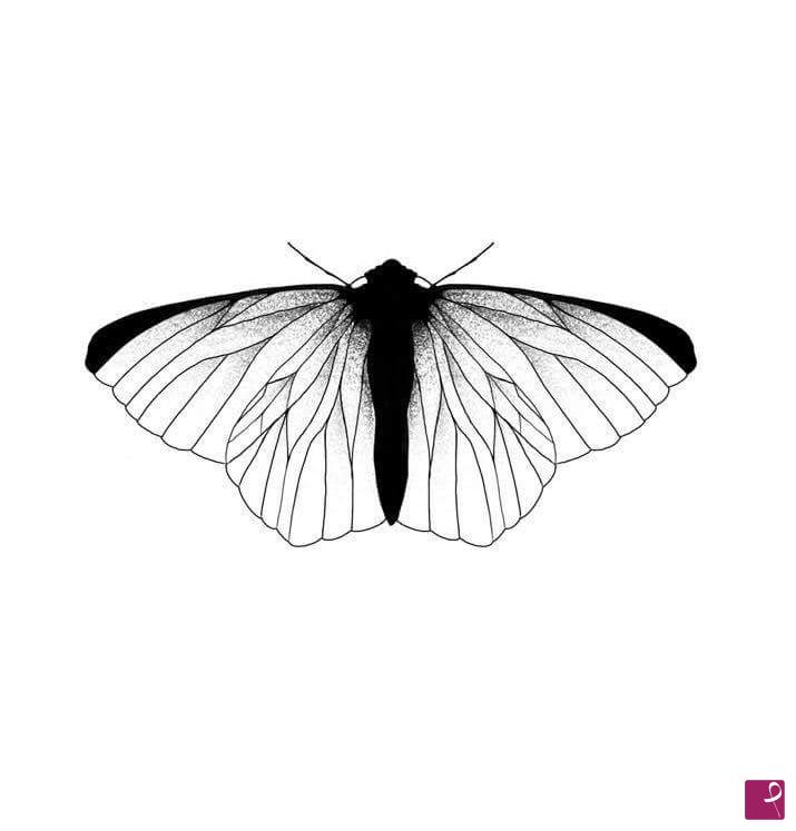 quadri in vendita online - MOTH 