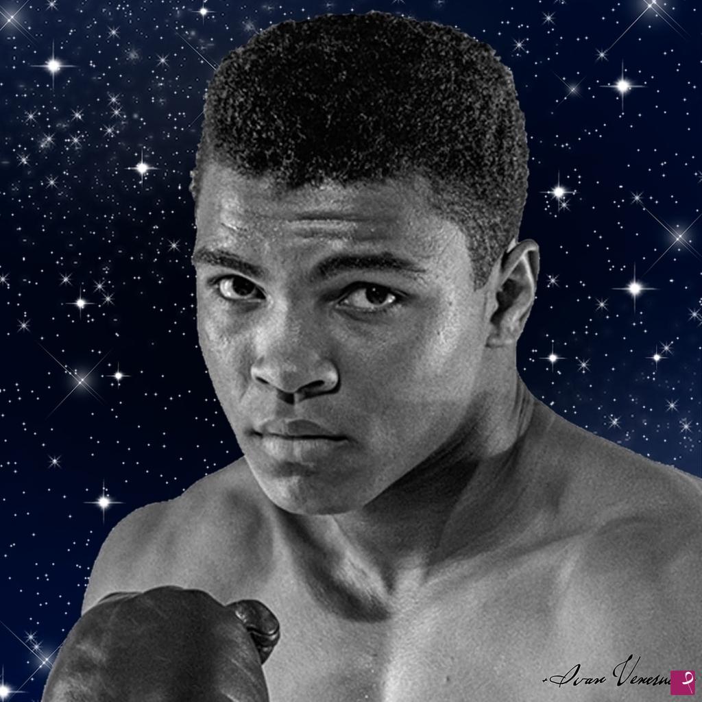 quadri in vendita online - Muhammad Ali the star