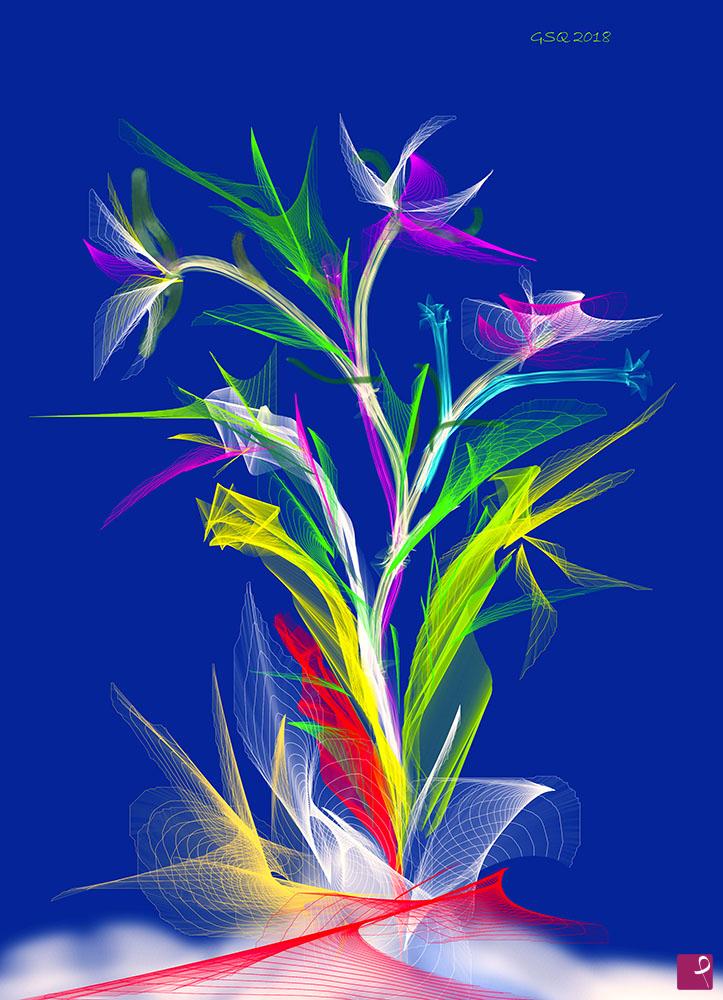 quadri in vendita online - natura creativa 13-07-2018