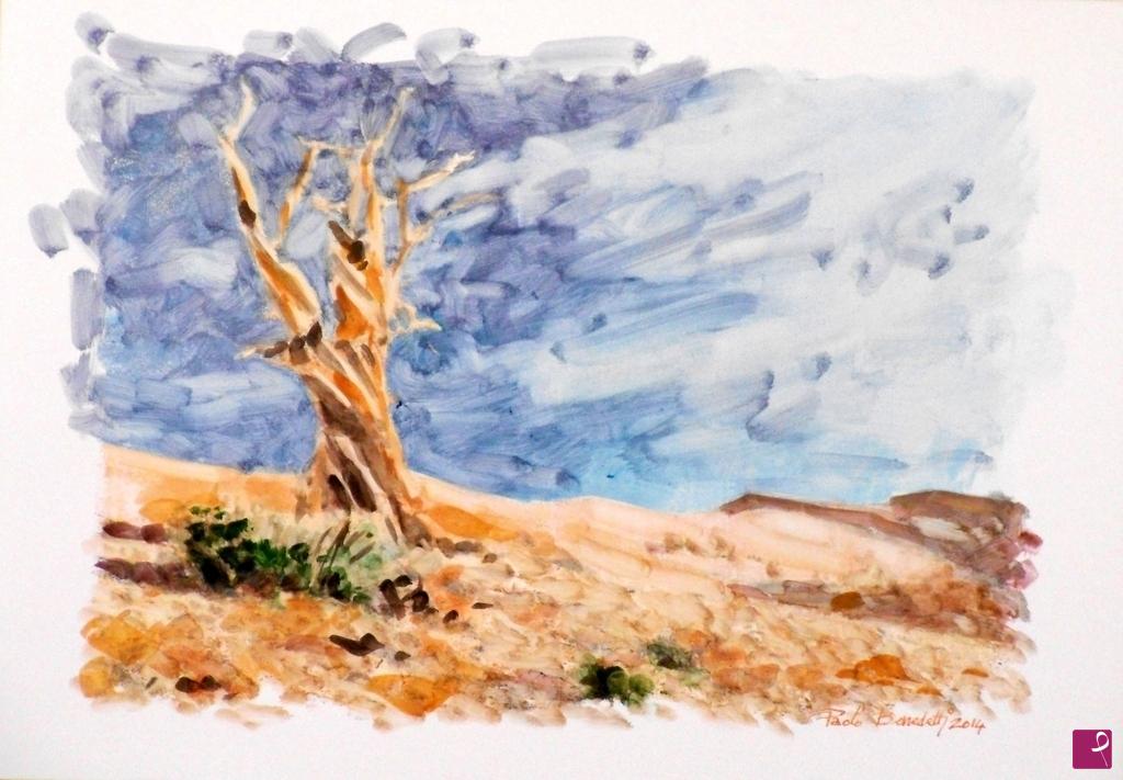 quadri in vendita online - Natura desertica