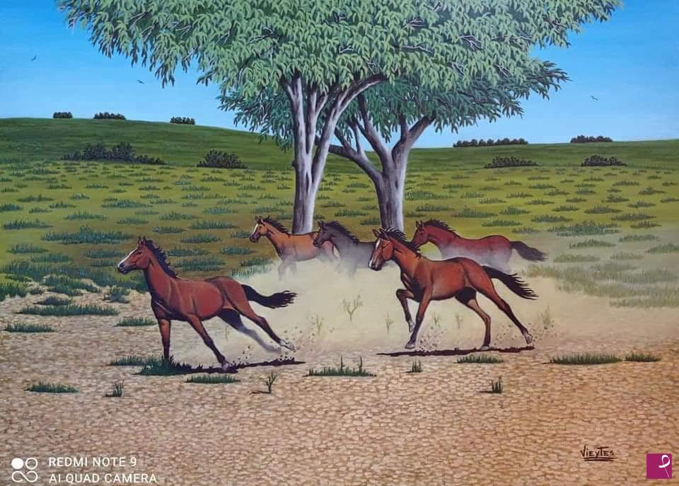 quadri in vendita online -  "Natura libera"