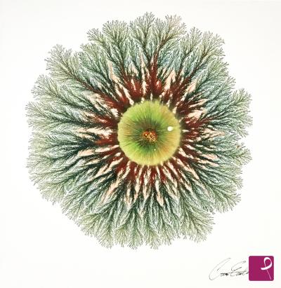 Quadro venduto su PitturiAmo