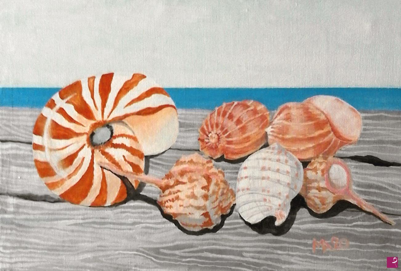 quadri in vendita online - Nautilo e altre