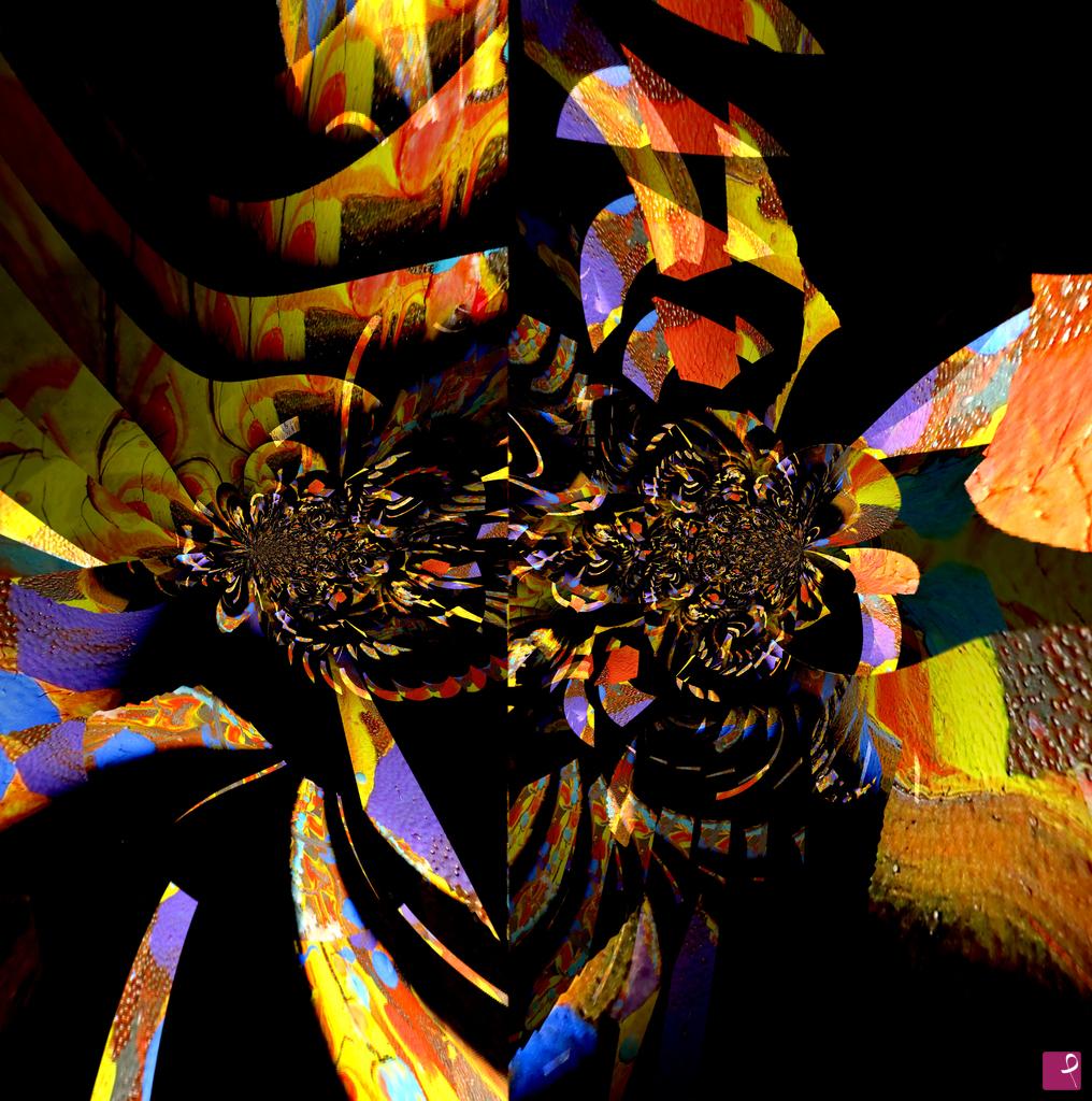 quadri in vendita online - Nautilus