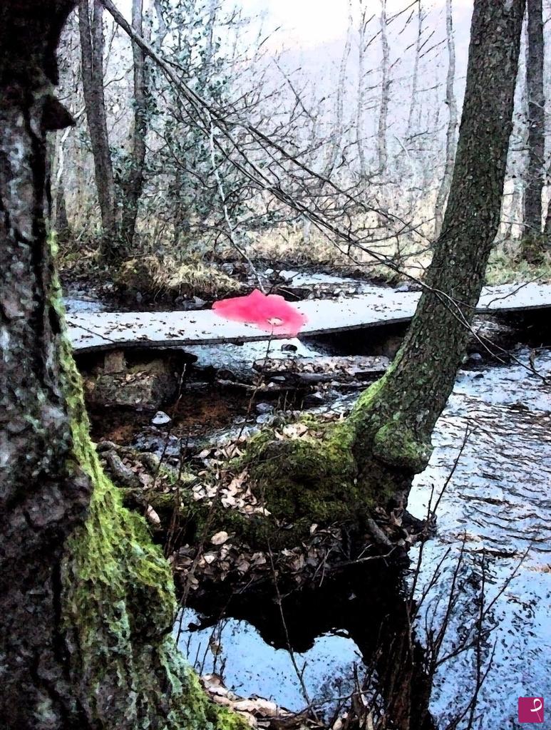 quadri in vendita online - Nel bosco